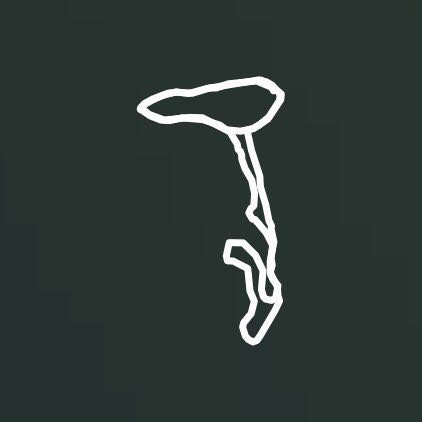 PARCO VILLA ADA - Traning