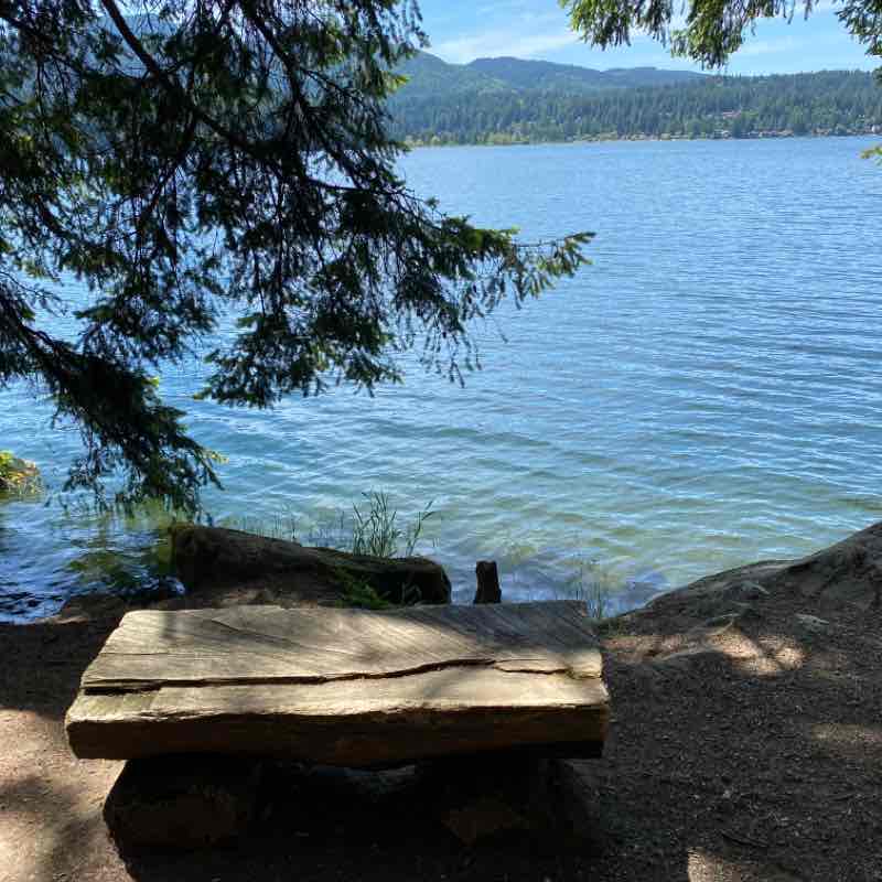 Lake Whatcom Hertz Trail