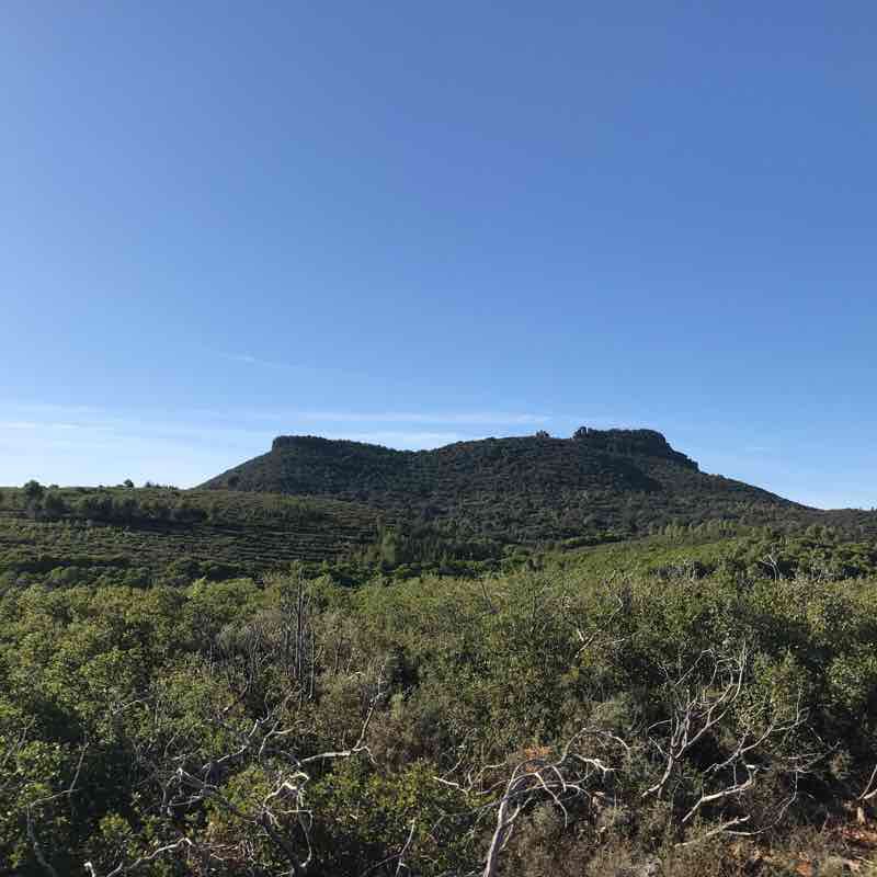 Promenade Jonquières at the Virgin Rock walking route map in Saint-André-de-Sangonis