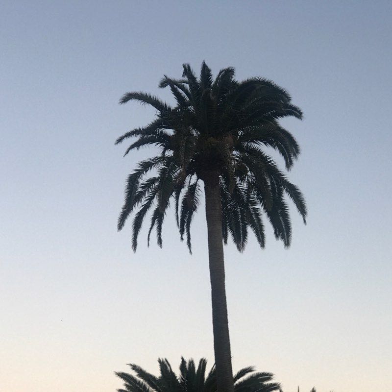 Parqueando por Las Mil Palmeras