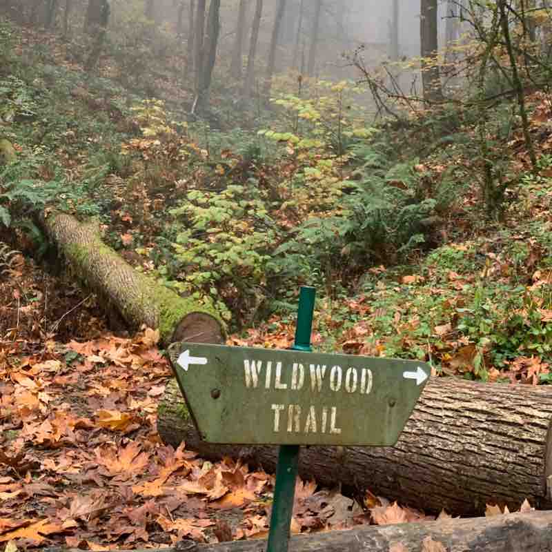 Japanese Garden to Pittock Mansion and return