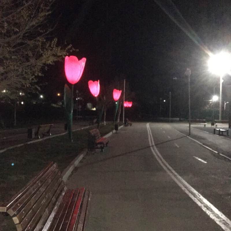 Elista Center walking route map in Elista