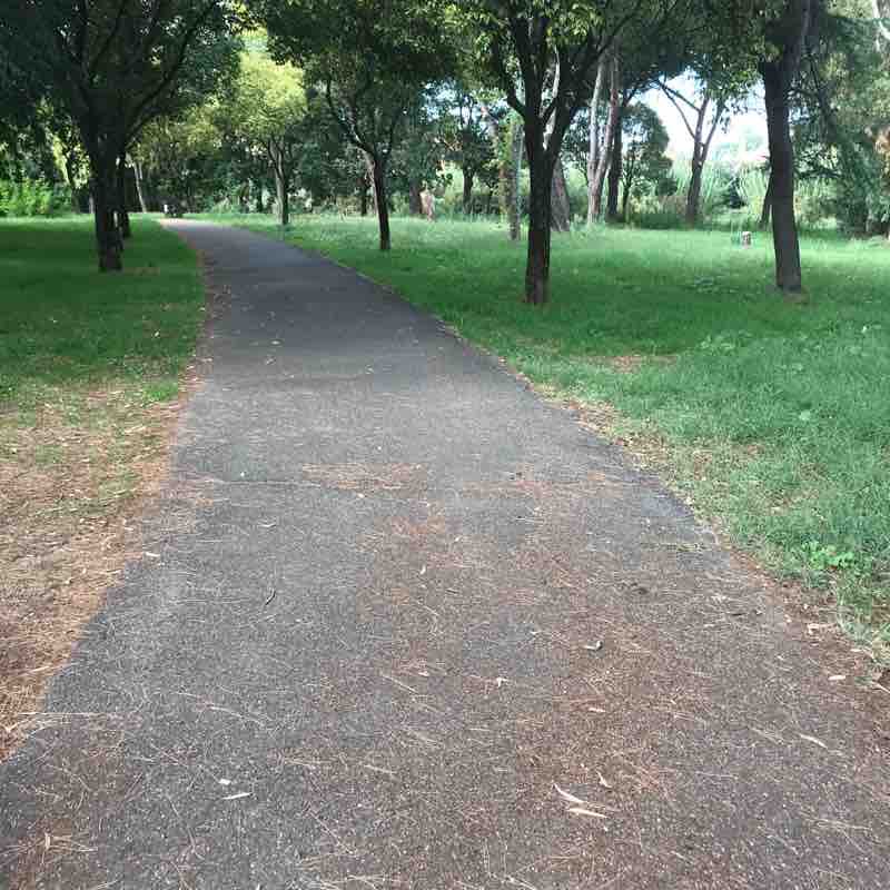 Parco torre maura