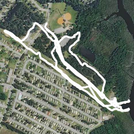 Trails playgrounds trees birds nature