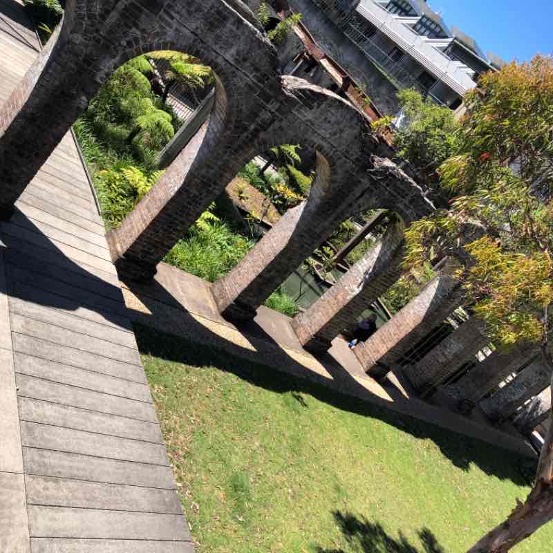 Lilyfield to Bondi Beach via Glebe and Paddington