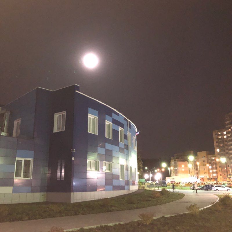 Forest walking route map in Zarechny