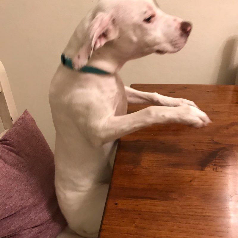 Percorso del terrore bianco