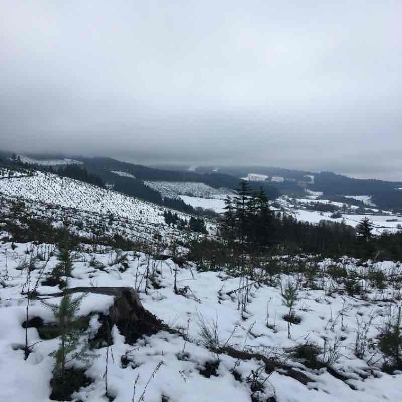 Mont St Rigaud from Propières walking route map in Propières