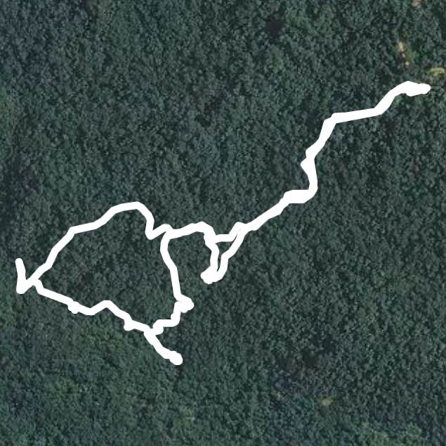 Waterfall Trail walking route map in Woodville