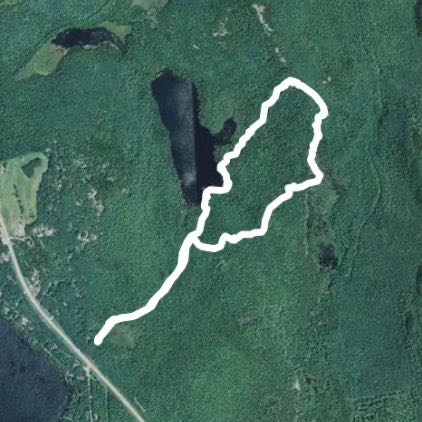 Cliff route walking route map in Dedham