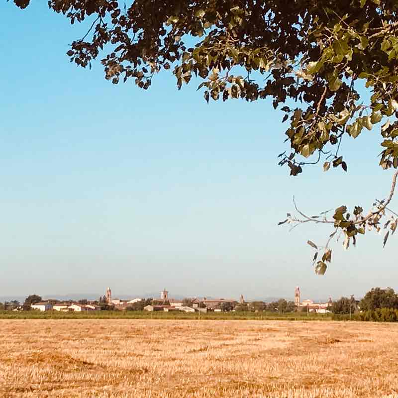 Guarno Abbadesse in fiore