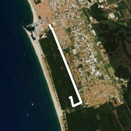 Deviazione troppi cinghiali