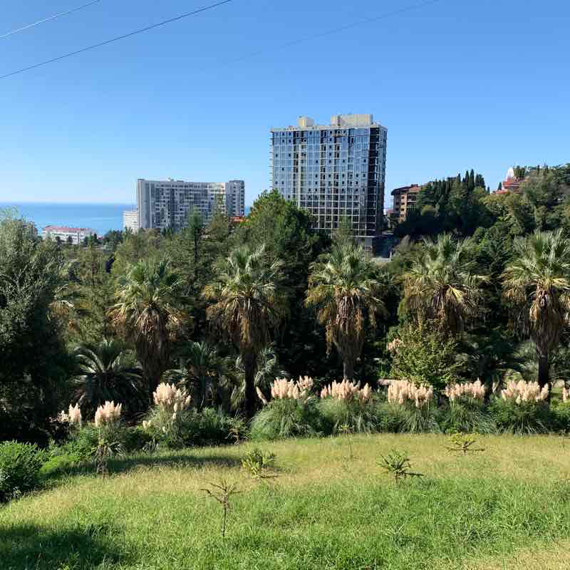 Дендрарий. Верхний парк .