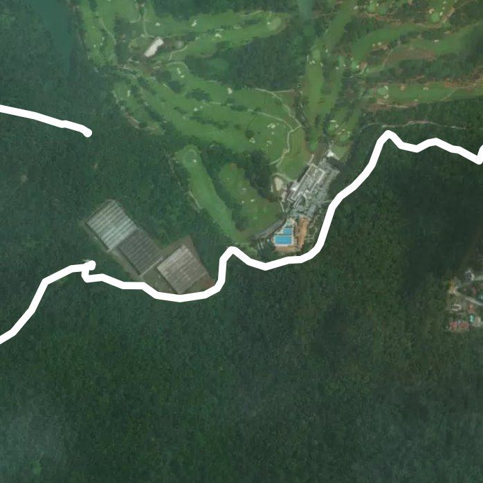 Treetop to Windsor Park