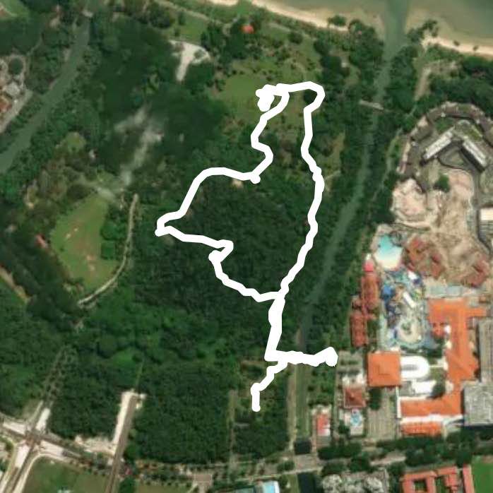 Pasir Ris Mangrove & Maze Park