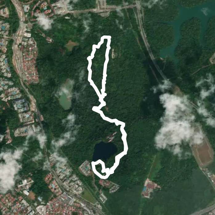 Bukit Timah and Dairy farm loop