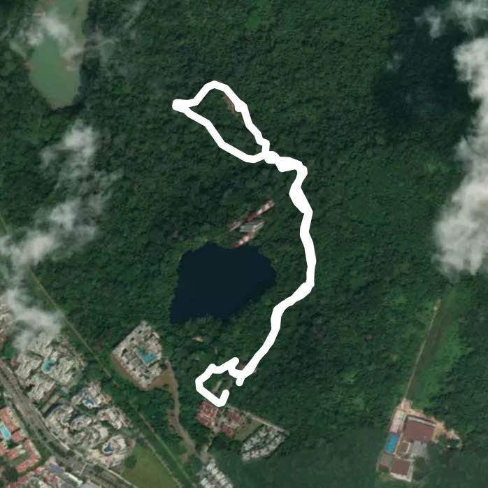 Bukit Timah Nature Reserve