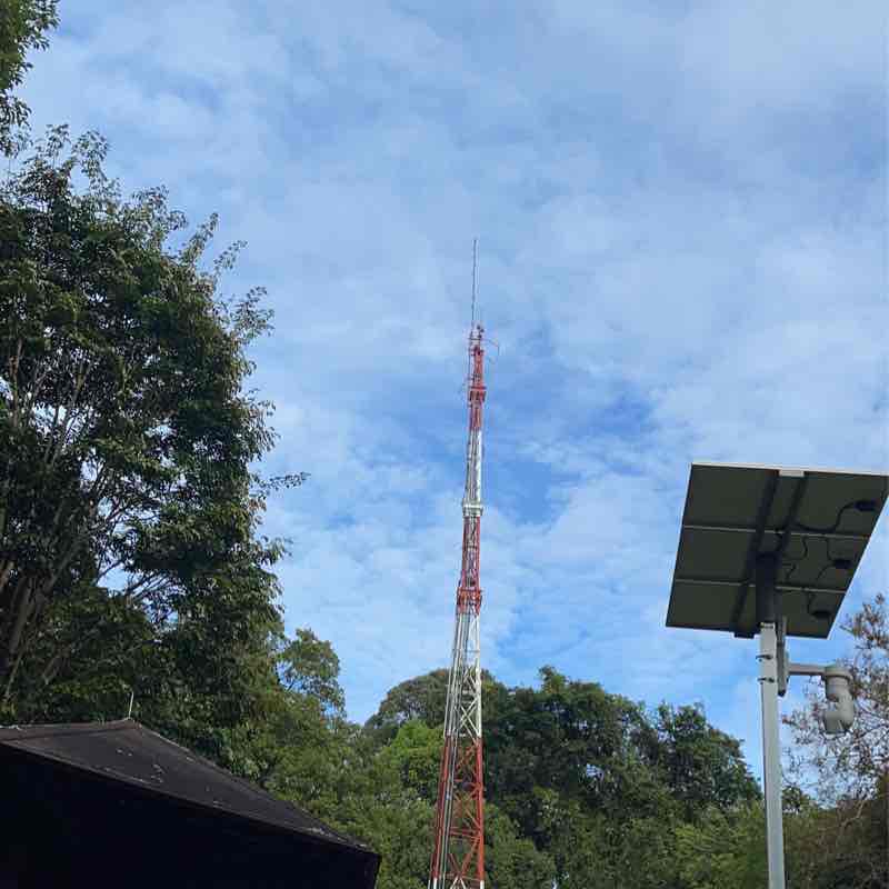 Bukit Timah Nature Reserve