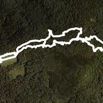 Hartmannswillerkopf walking route map in Wattwiller