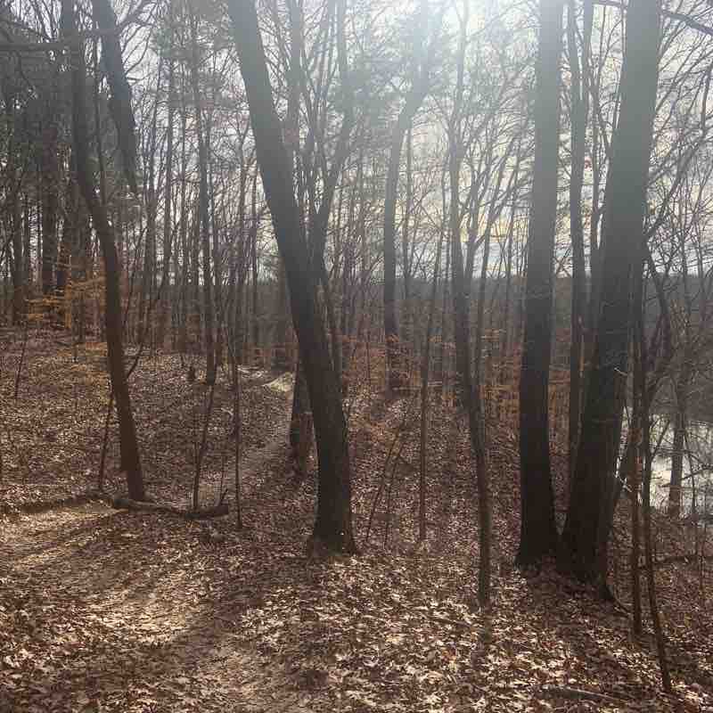 Reedy fork trail to lake cove and back