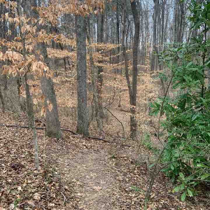 James Boyce McAlpine Greenway to providence rd