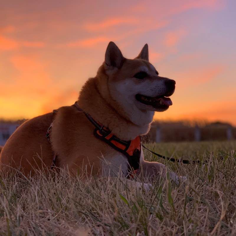 Balade Esthal Allemagne