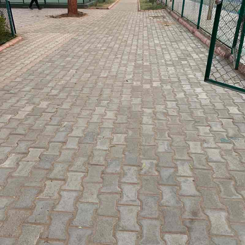 Msu Pavil Walking area walking route map in Vadodara