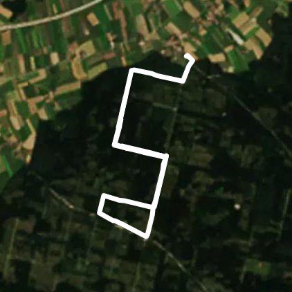 Ebersberger Forst 1 walking route map in Anzinger Forst