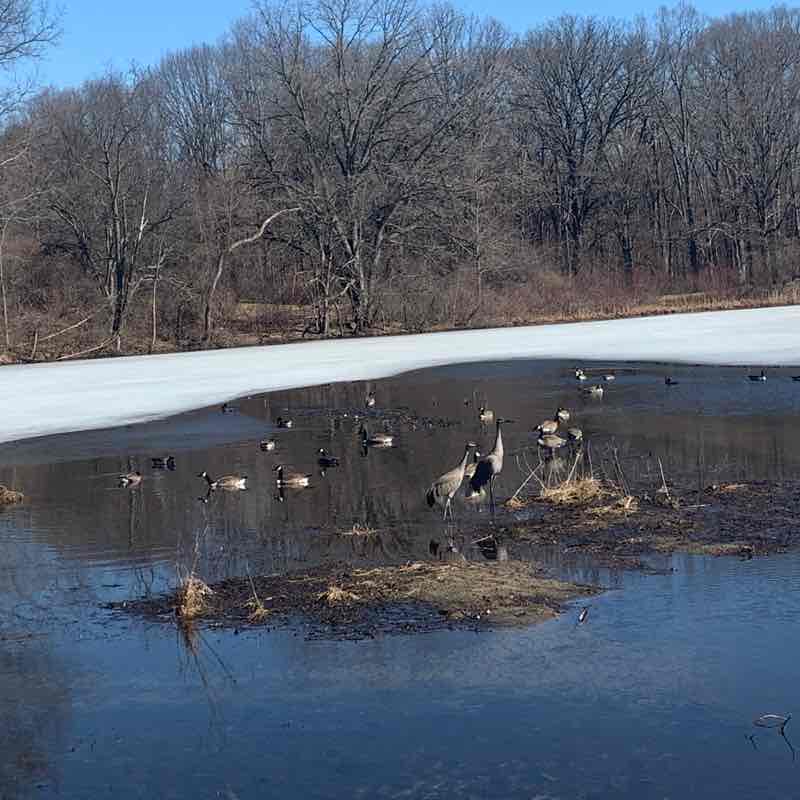 Short Bald Mountain Hike