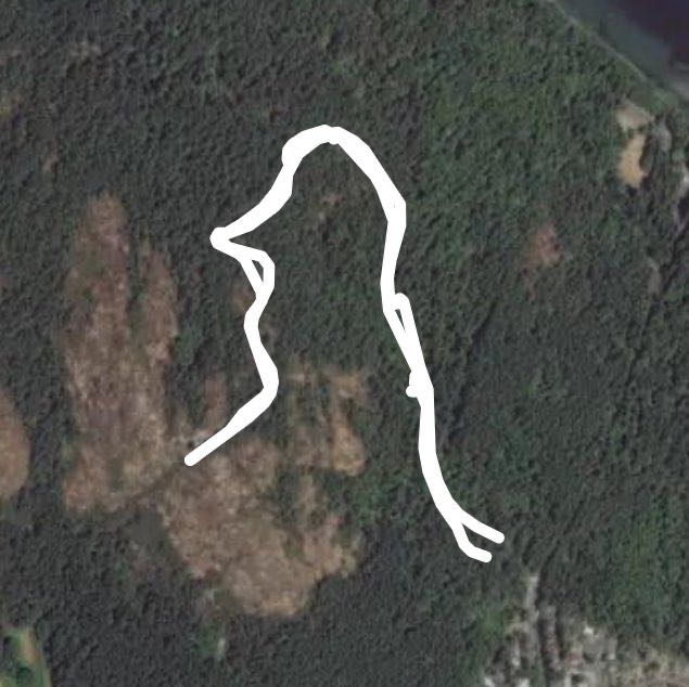 My Doug from main parking lot