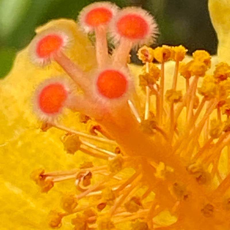 Walk walk on Sunday morning