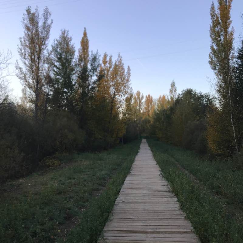 Paseo por el Duero