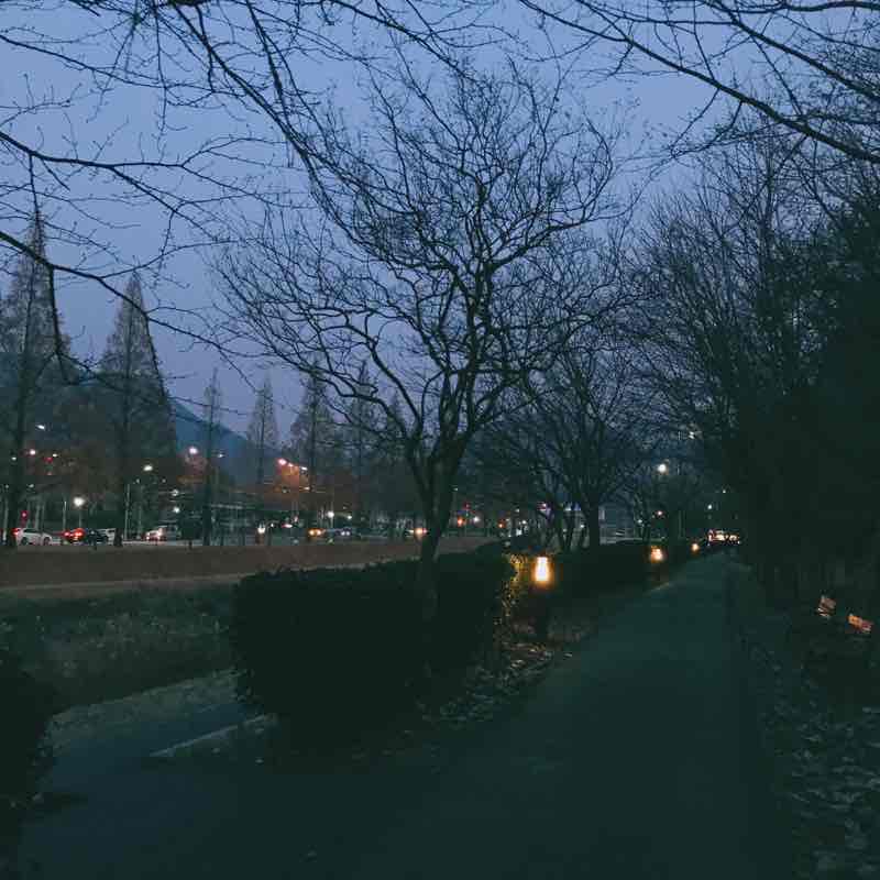 버스 기다리기 싫어 그럴바엔 걸어간다