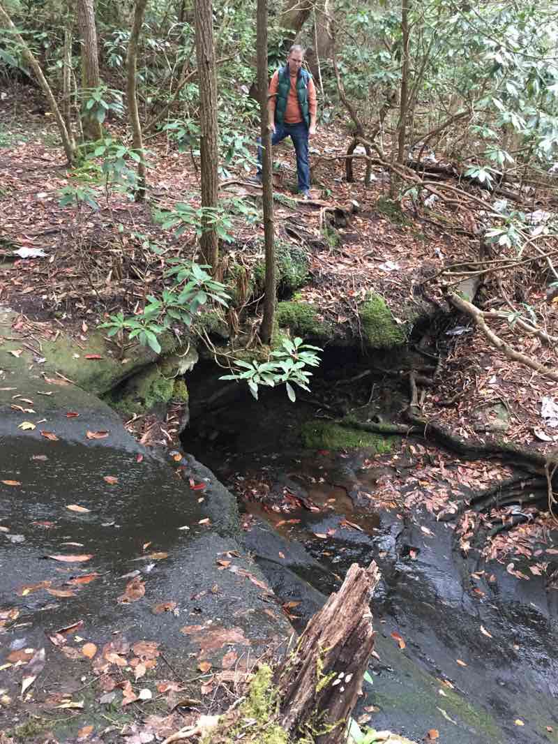 walking near me on Van hook Falls Bosque Nacional Daniel Boone walking route