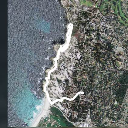 Cardinal International 5K