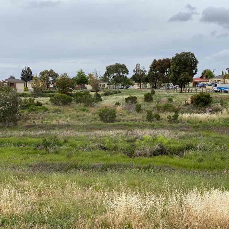 Threatened Nina walking route map in Truganina