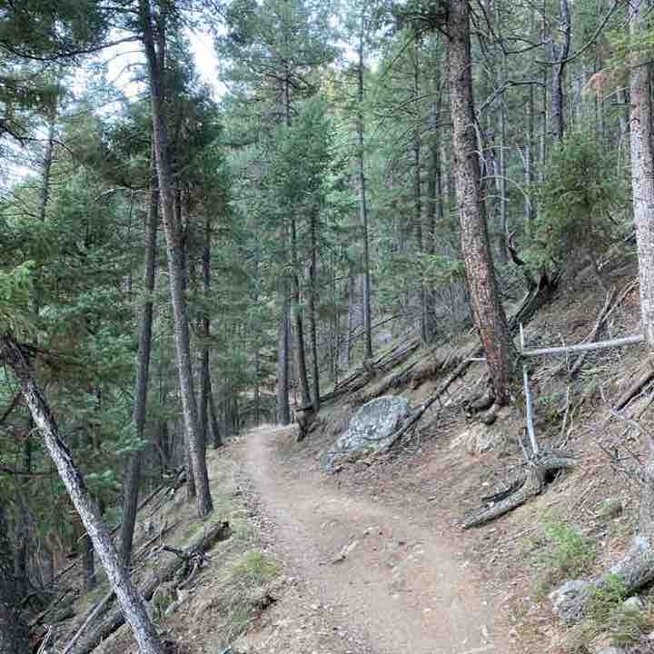 Colorado trails