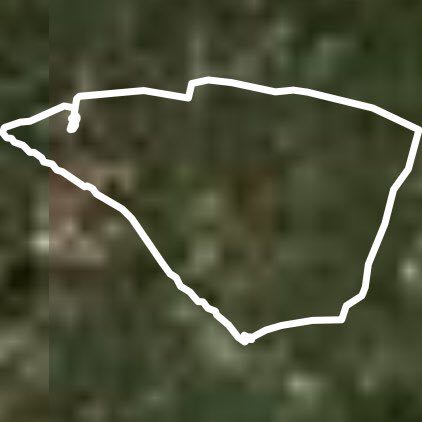 Борисполь в движении)