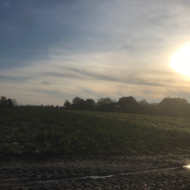 Rhine walking route map in Engelbrechtsche Wildnis