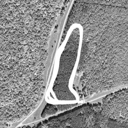 Ночной круг лыжи