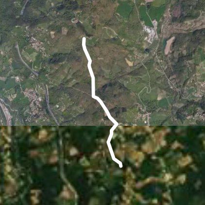 Bosco 1 walking route map in Cà Giardini