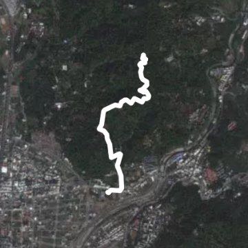 大坑9號步道健行登山之旅（9000步）