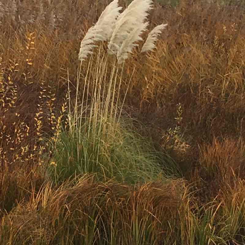 Shoes walking route map in Saint-Laurent-Blangy