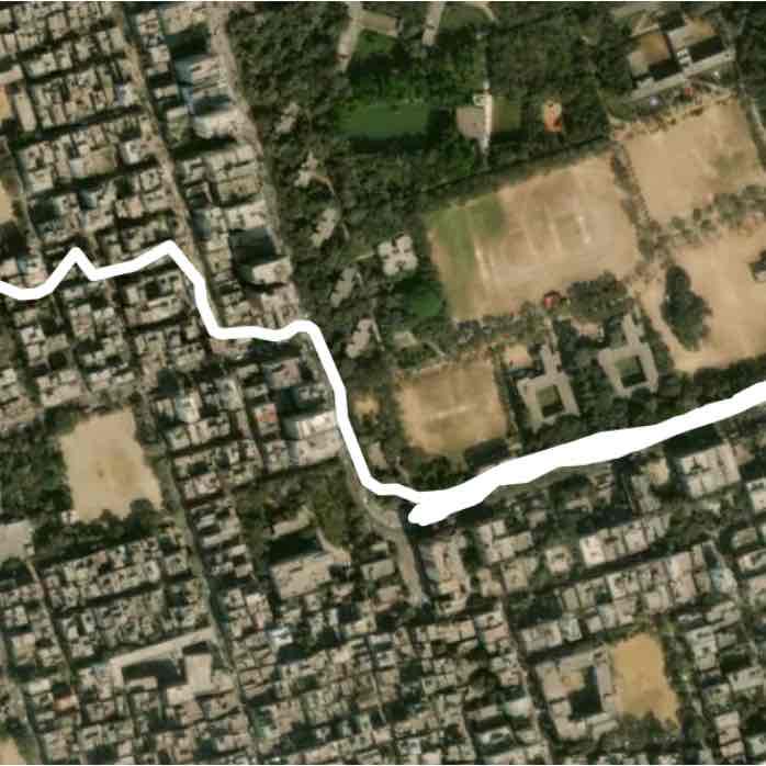 Today’s evening walk!