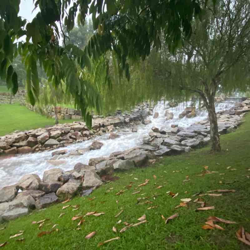 Tropicana Heights park