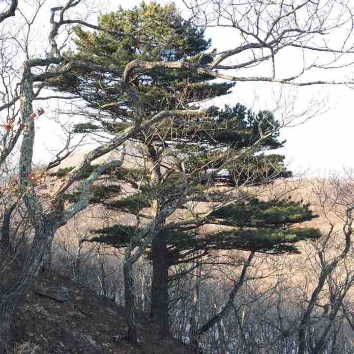 Find. Lashkevich bay walking route map in Nakhodka