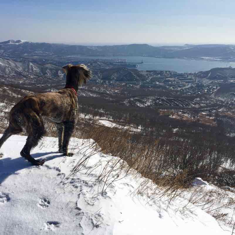 Find. Mount Arseny. walking route map in Nakhodka