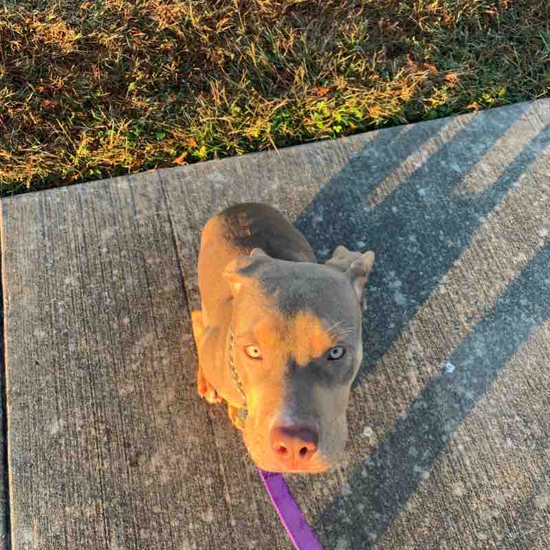 Hidden Lakes to Marbella Trail walking route map in Bacliff