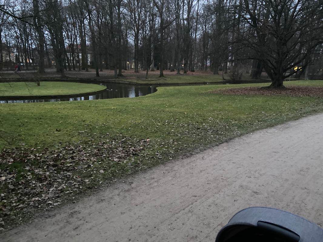 walking near me in Hofgarten in winter
