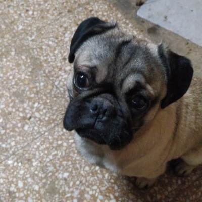 Vamos a bajar unas cuantas calor Angel post image